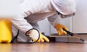 Best Pest Control for Multi-Family Homes  in Osburn, ID